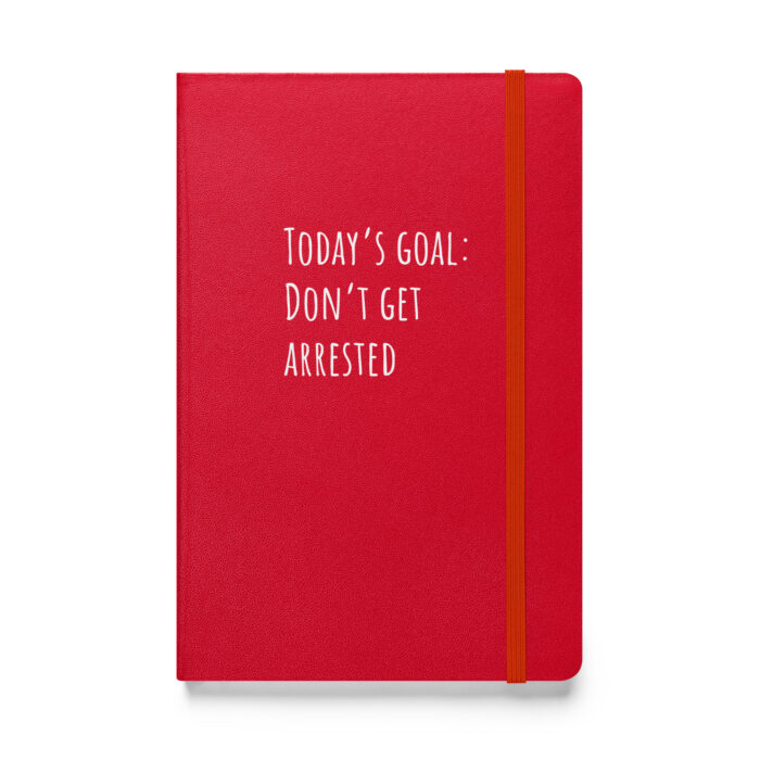 “Today’s Goal: Don’t Get Arrested” – A Notebook for Staying Out of Trouble (Mostly) - Image 4