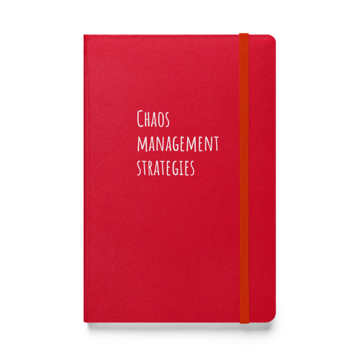 “Chaos Management Strategies” – Because Life Doesn’t Come with Instructions - Image 3